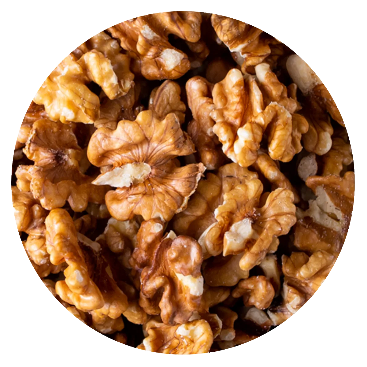 Nuez mariposa light